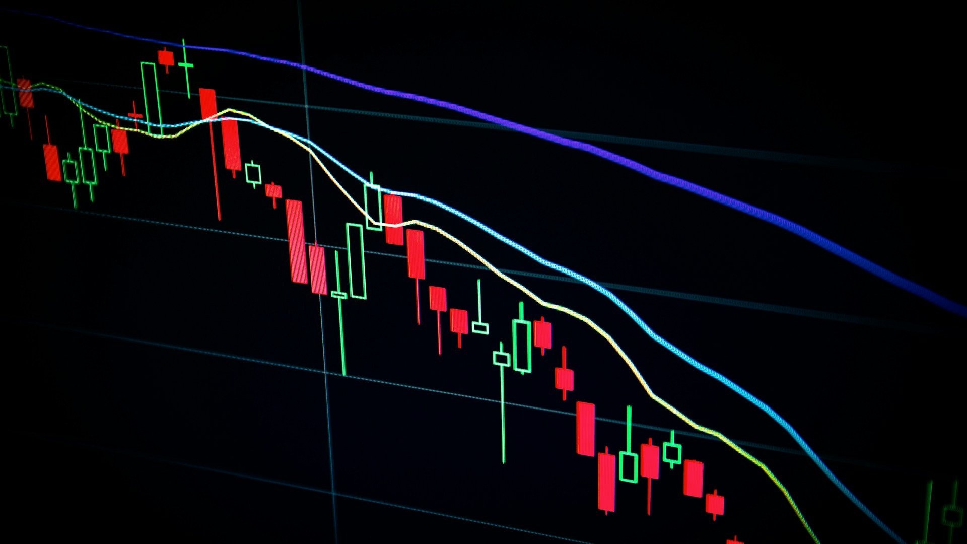 Charts and analytics illustrating diversified portfolio performance